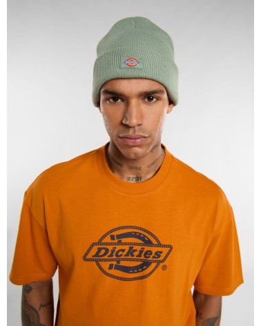 GORRO GIBSLAND UNISEX DICKIES
