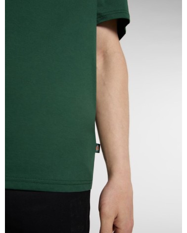 CAMISETA MAPLETON CORTE RECTO DICKIES