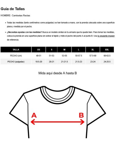 CAMISETA MAPLETON CORTE RECTO DICKIES