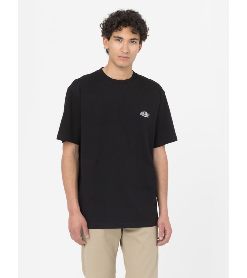 CAMISETA SUMMERDALE RELAXED FIT DE DICKIES
