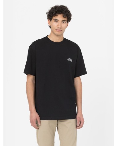 CAMISETA SUMMERDALE RELAXED FIT DE DICKIES