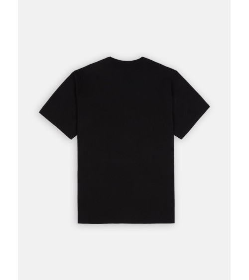 CAMISETA SUMMERDALE RELAXED FIT DE DICKIES