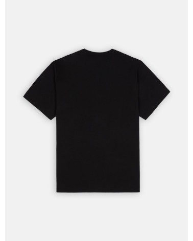 CAMISETA SUMMERDALE RELAXED FIT DE DICKIES