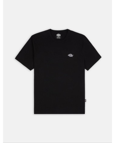 CAMISETA SUMMERDALE RELAXED FIT DE DICKIES