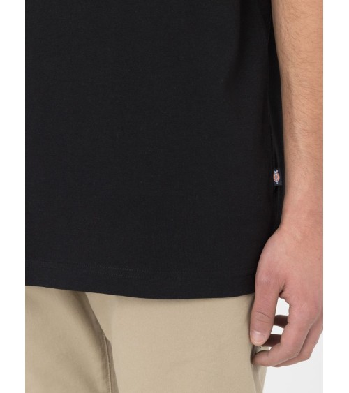CAMISETA SUMMERDALE RELAXED FIT DE DICKIES