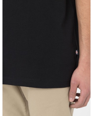 CAMISETA SUMMERDALE RELAXED FIT DE DICKIES