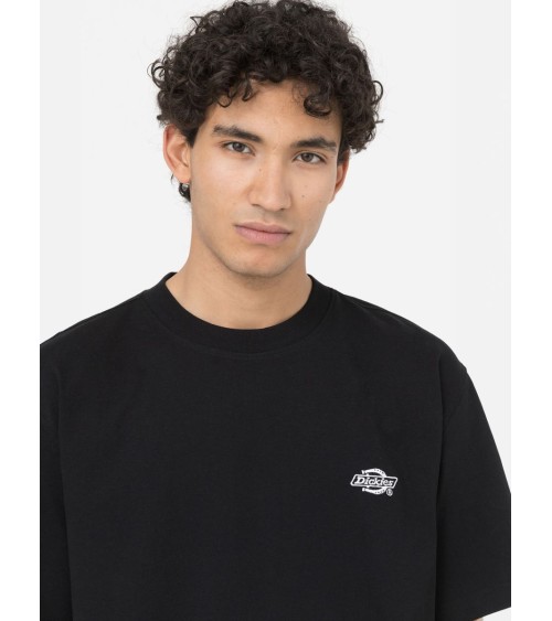 CAMISETA SUMMERDALE RELAXED FIT DE DICKIES