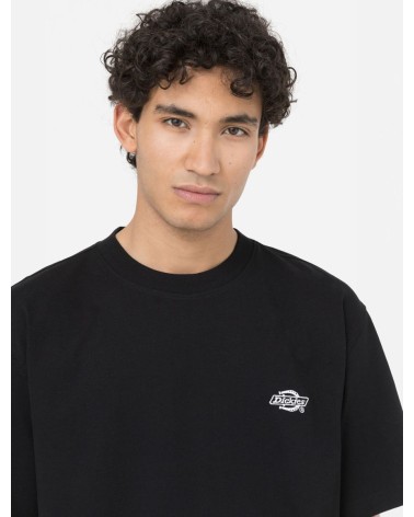CAMISETA SUMMERDALE RELAXED FIT DE DICKIES