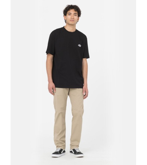CAMISETA SUMMERDALE RELAXED FIT DE DICKIES