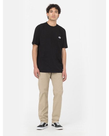 CAMISETA SUMMERDALE RELAXED FIT DE DICKIES