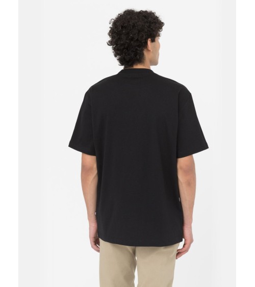 CAMISETA SUMMERDALE RELAXED FIT DE DICKIES