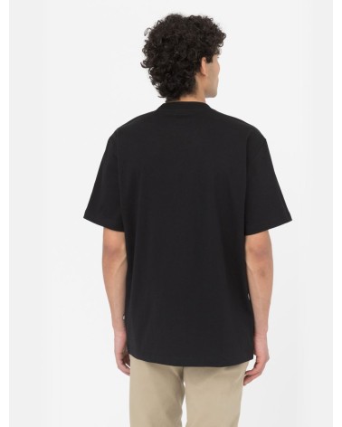 CAMISETA SUMMERDALE RELAXED FIT DE DICKIES