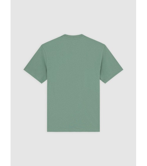 CAMISETA SUMMERDALE RELAXED FIT DE DICKIES