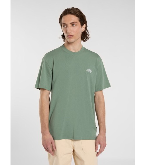 CAMISETA SUMMERDALE RELAXED FIT DE DICKIES