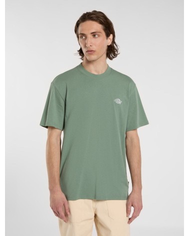 CAMISETA SUMMERDALE RELAXED FIT DE DICKIES