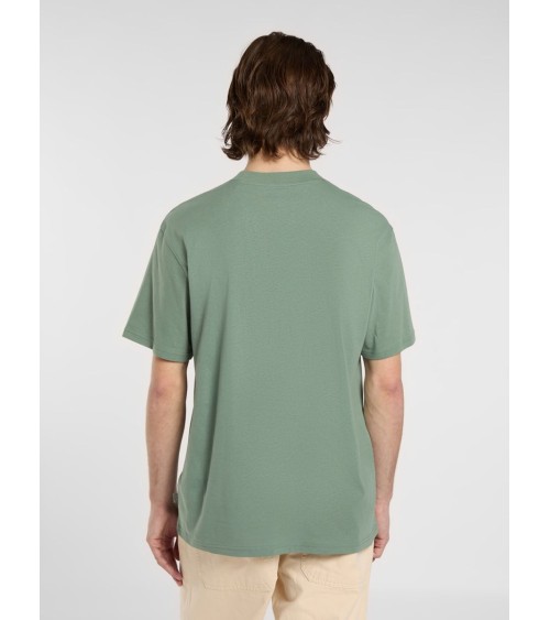 CAMISETA SUMMERDALE RELAXED FIT DE DICKIES