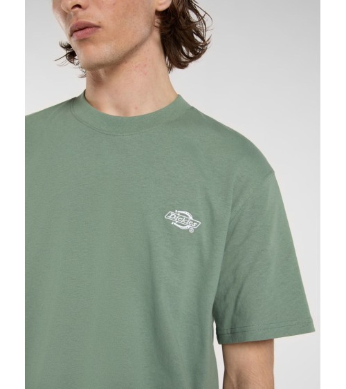 CAMISETA SUMMERDALE RELAXED FIT DE DICKIES