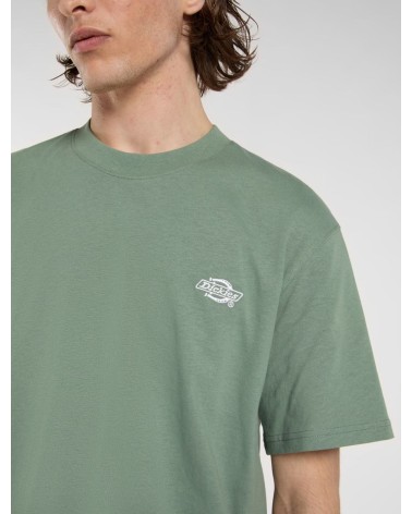 CAMISETA SUMMERDALE RELAXED FIT DE DICKIES