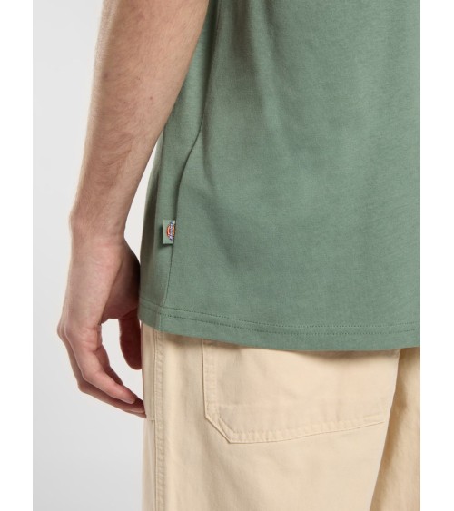 CAMISETA SUMMERDALE RELAXED FIT DE DICKIES