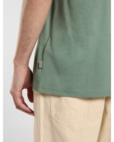 CAMISETA SUMMERDALE RELAXED FIT DE DICKIES