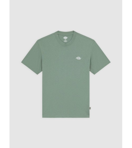 CAMISETA SUMMERDALE RELAXED FIT DE DICKIES