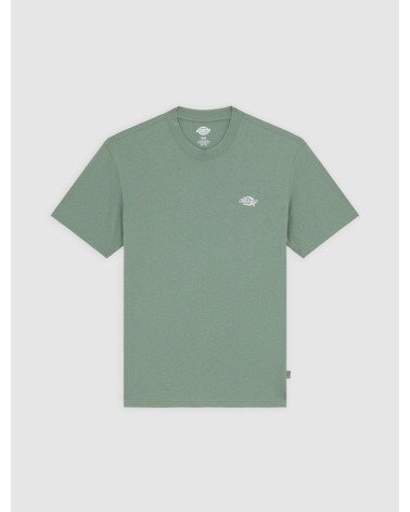 CAMISETA SUMMERDALE RELAXED FIT DE DICKIES