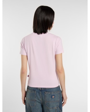 CAMISETA MAPLE BÁSICA DE DICKIES