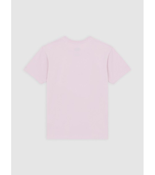CAMISETA MAPLE BÁSICA DE DICKIES