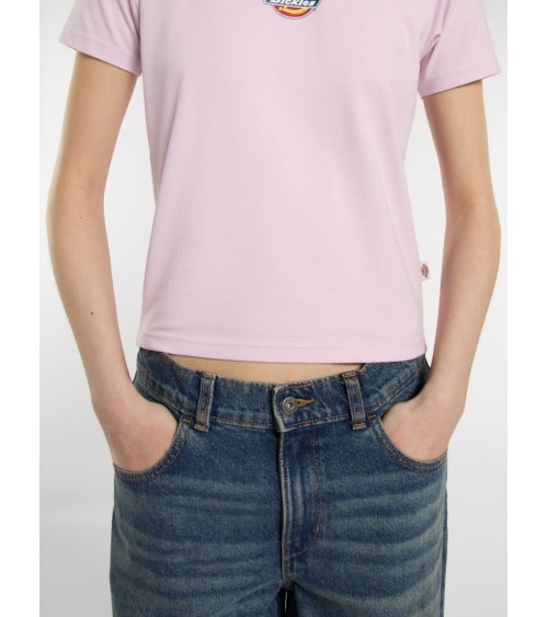 CAMISETA MAPLE BÁSICA DE DICKIES