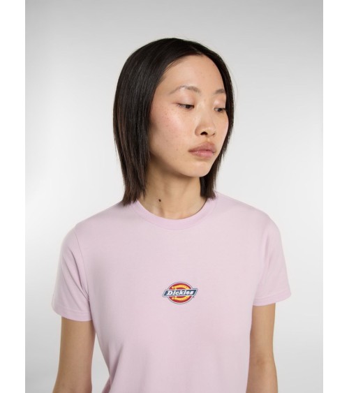 CAMISETA MAPLE BÁSICA DE DICKIES
