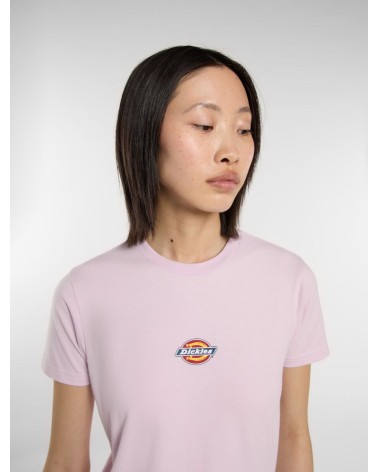 CAMISETA MAPLE BÁSICA DE DICKIES