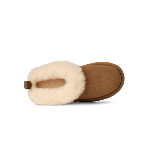 ZUECOS TAZZELLE UGG