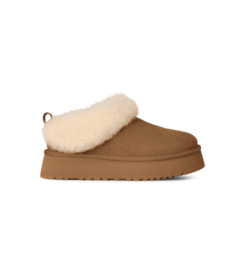 ZUECOS TAZZELLE UGG
