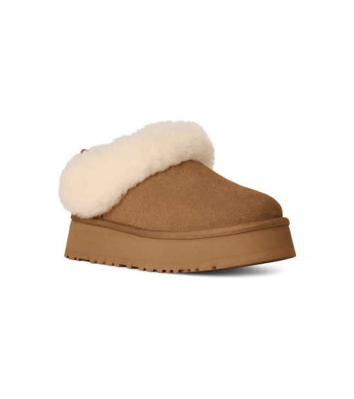 ZUECOS TAZZELLE UGG