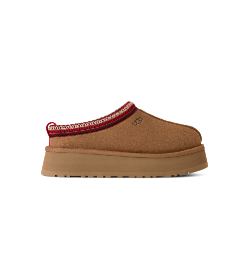 ZUECOS TAZZ II UGG