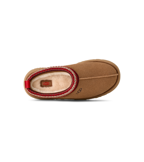 ZUECOS TAZZ II UGG