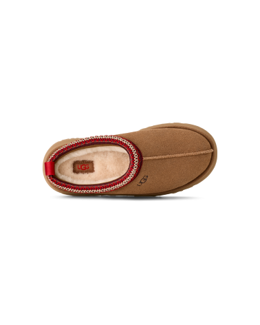 ZUECOS TAZZ II UGG