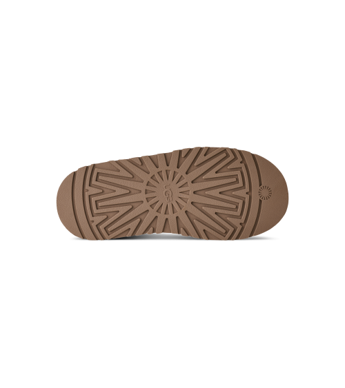 ZUECOS TAZZ II UGG