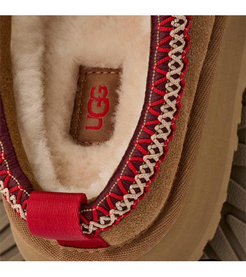 ZUECOS TAZZ II UGG