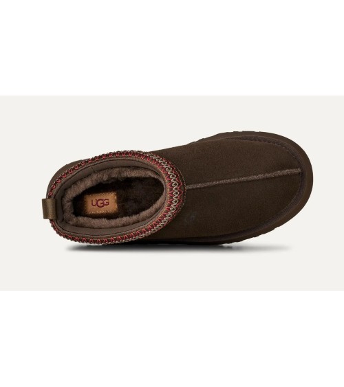 ZUECOS TAZZ II UGG