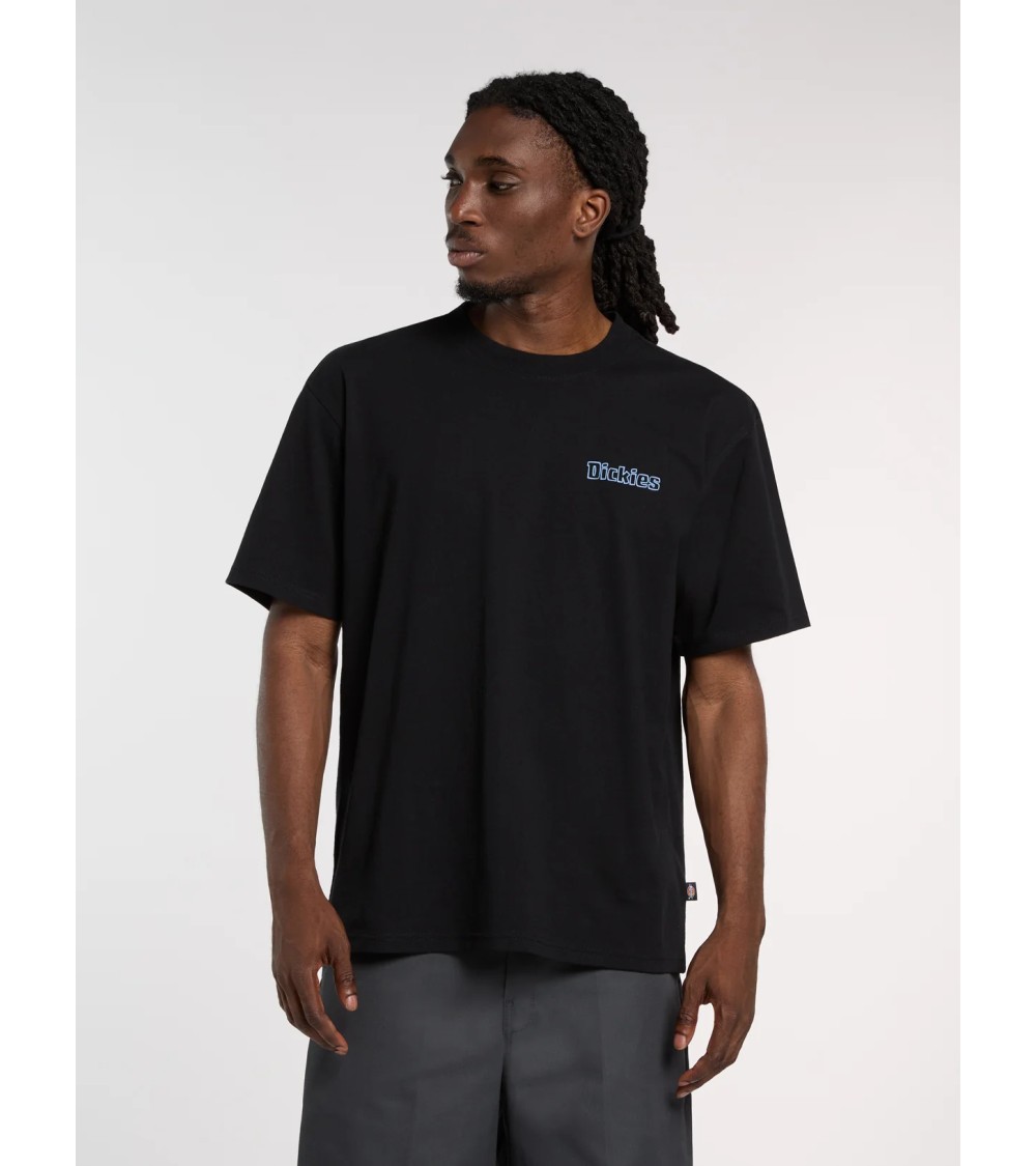 CAMISETA FAIRLAWN ESTAMPADO ESPALDA DICKIES