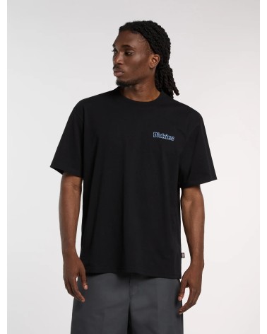 CAMISETA FAIRLAWN ESTAMPADO ESPALDA DICKIES