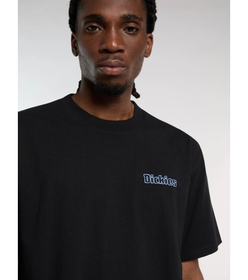 CAMISETA FAIRLAWN ESTAMPADO ESPALDA DICKIES