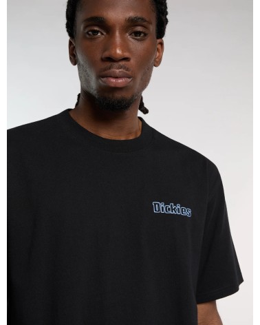 CAMISETA FAIRLAWN ESTAMPADO ESPALDA DICKIES