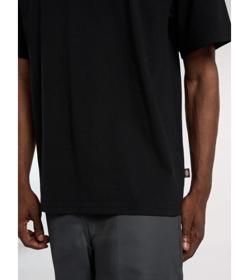 CAMISETA FAIRLAWN ESTAMPADO ESPALDA DICKIES