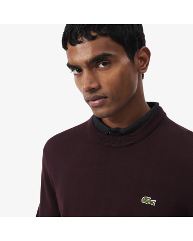 JERSEY CUELLO REDONDO LACOSTE