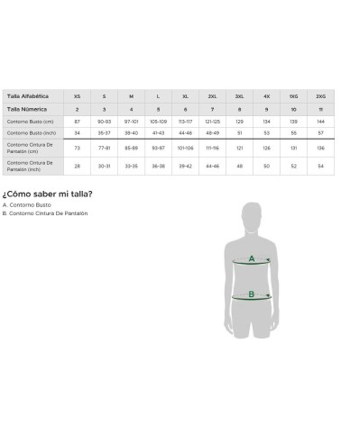 CAMISETA BÁSICA LACOSTE