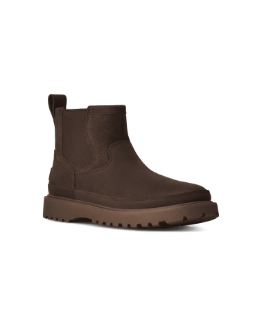 BOTAS BIRCH CHELSEA UGG
