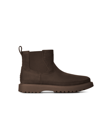 BOTAS BIRCH CHELSEA UGG